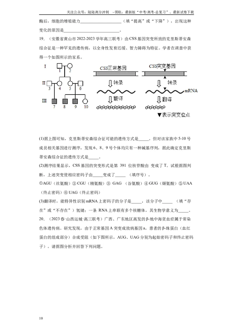 《单元检测卷五遗传的分子基础（解析版）_06-生物-高考总复习_一轮复习_2024年_2024年高考生物一轮复习精讲精练_资料》第10页预览