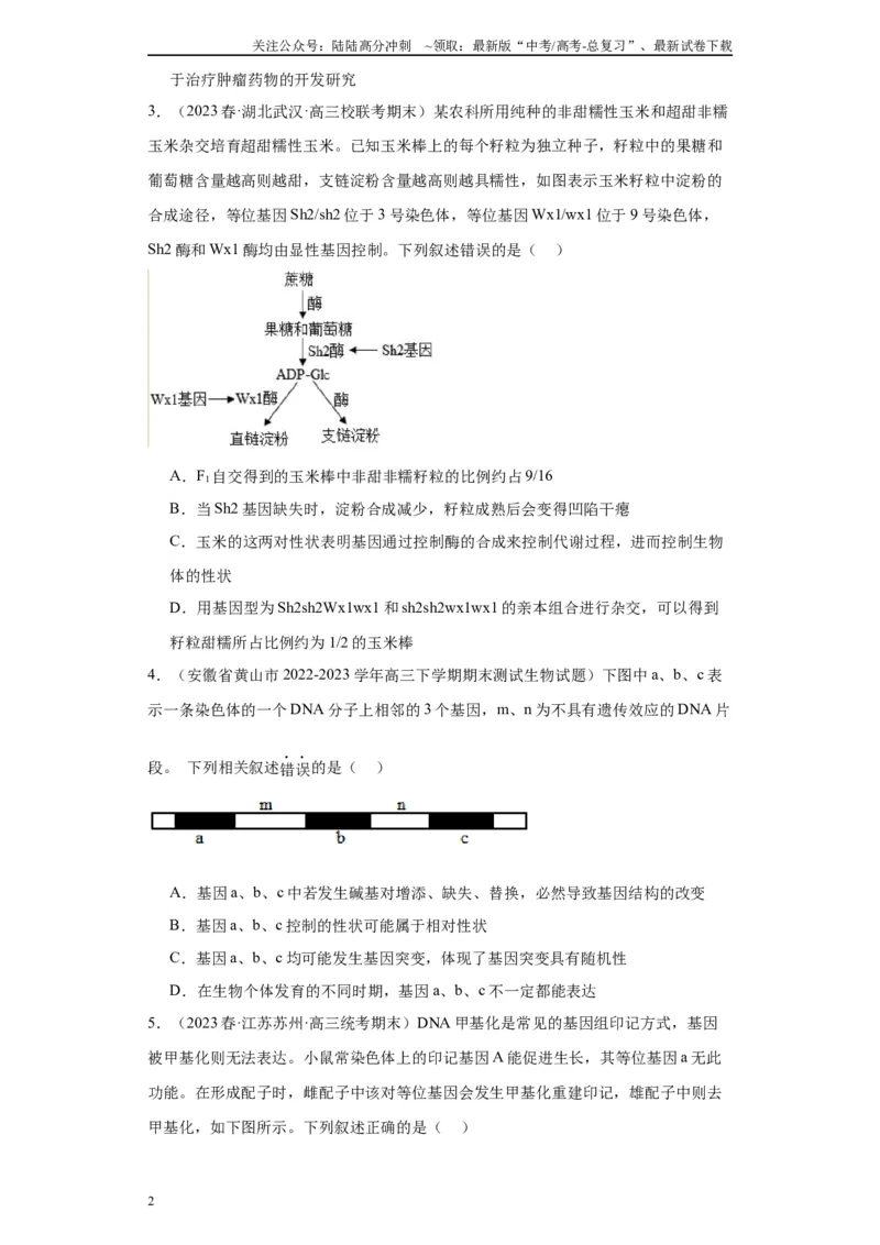 《单元检测卷五遗传的分子基础（解析版）_06-生物-高考总复习_一轮复习_2024年_2024年高考生物一轮复习精讲精练_资料》第2页预览