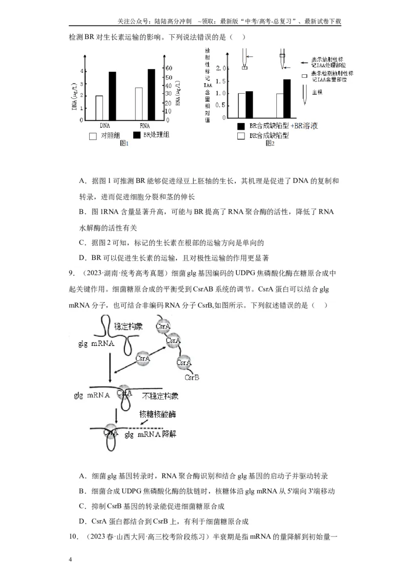 《单元检测卷五遗传的分子基础（解析版）_06-生物-高考总复习_一轮复习_2024年_2024年高考生物一轮复习精讲精练_资料》第4页预览