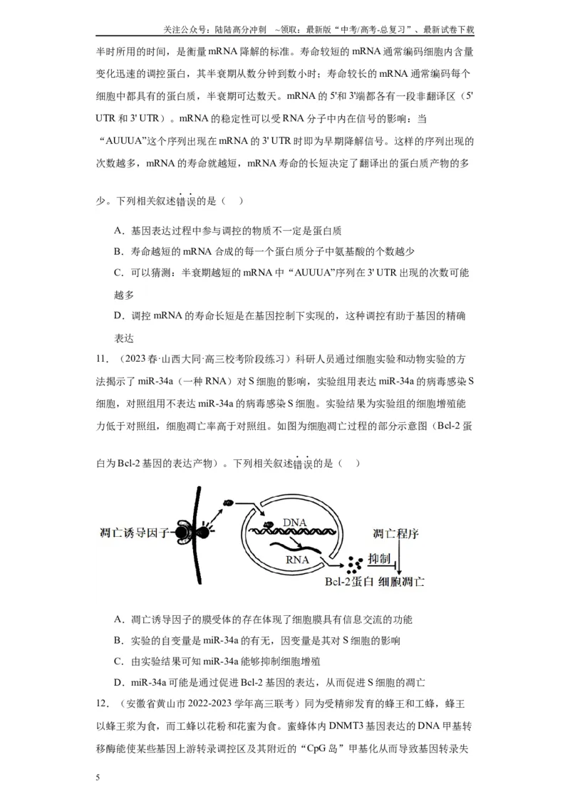 《单元检测卷五遗传的分子基础（解析版）_06-生物-高考总复习_一轮复习_2024年_2024年高考生物一轮复习精讲精练_资料》第5页预览