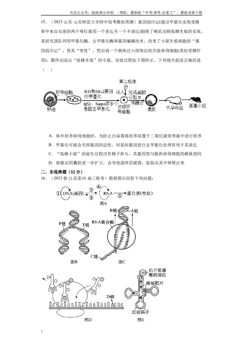 《单元检测卷五遗传的分子基础（解析版）_06-生物-高考总复习_一轮复习_2024年_2024年高考生物一轮复习精讲精练_资料》第7页预览