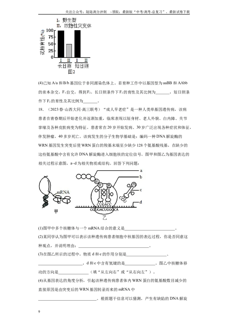 《单元检测卷五遗传的分子基础（解析版）_06-生物-高考总复习_一轮复习_2024年_2024年高考生物一轮复习精讲精练_资料》第9页预览