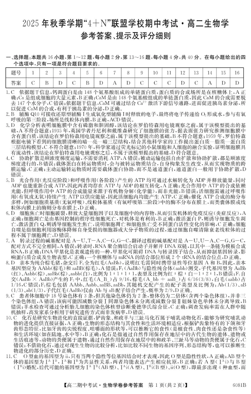 《南宁4+N联盟2025秋季期中高二生物答案_20272025-2026学年高二上学期《期中考试试卷合集》全国多省全科（78套）_251227广西南宁市“4+N”联盟学校2025-2026学年高二上学期期中考试（全）》第1页预览