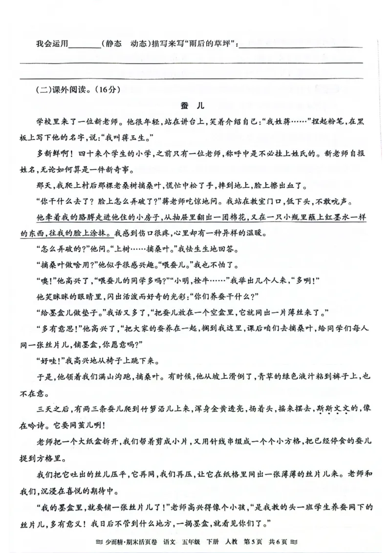 《统编版语5年级下册《王朝霞期末活页卷》（24春）_小学语文精品试卷合集（1-6年级下册）_《期末活页卷》》第5页预览