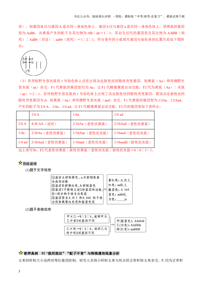 《压轴题02遗传与变异（解析版）_06-生物-高考总复习_三轮冲刺_压轴题2025年高考生物压轴题攻略》第3页预览