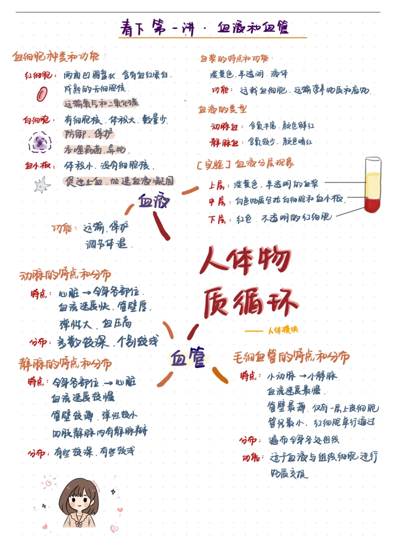 《24初一春下笔记血液与血管-47543f429c2a_学而思初中1年级_2024春下初一_初一生物培训班（春下·全国版·A+）_讲义及拓展资料》第1页预览