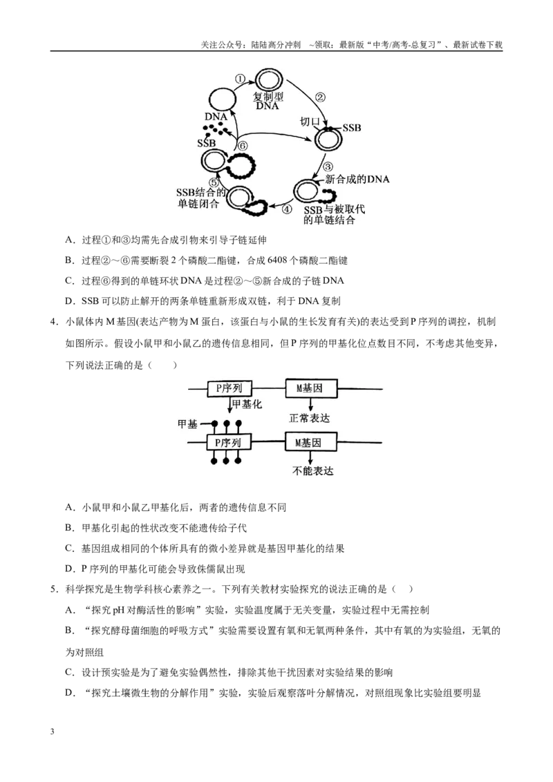 《信息必刷卷01（天津专用）（学生版）_06-生物-高考总复习_专项复习_2025年_2025年高考考前必刷题（多地区）生物_2025年高考生物考前必刷卷（天津专用）2套》第3页预览