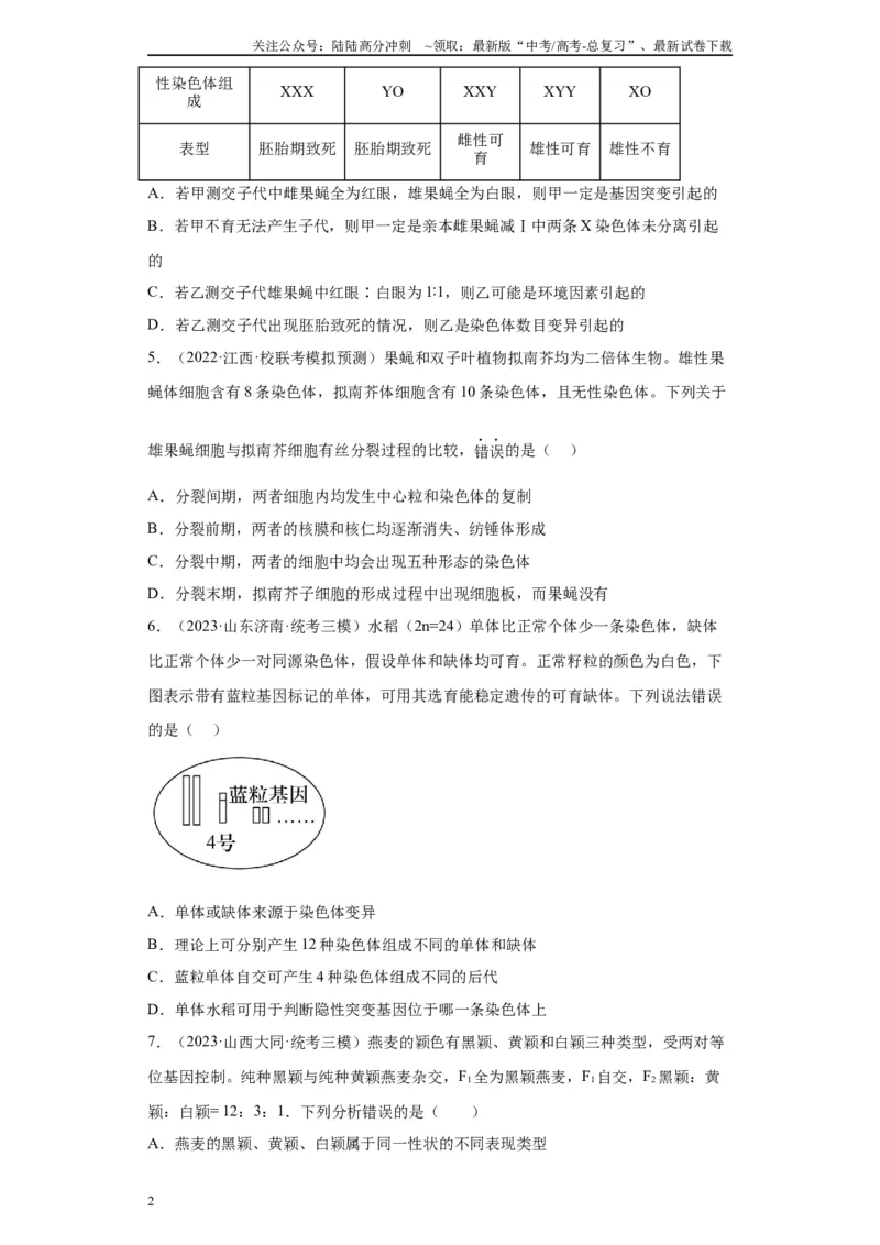 《单元检测卷四遗传的基本定律（原卷版）_06-生物-高考总复习_一轮复习_2024年_2024年高考生物一轮复习精讲精练_资料》第2页预览