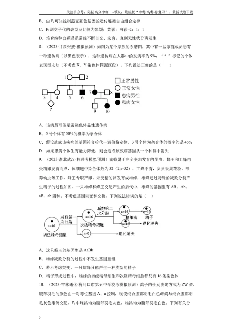 《单元检测卷四遗传的基本定律（原卷版）_06-生物-高考总复习_一轮复习_2024年_2024年高考生物一轮复习精讲精练_资料》第3页预览