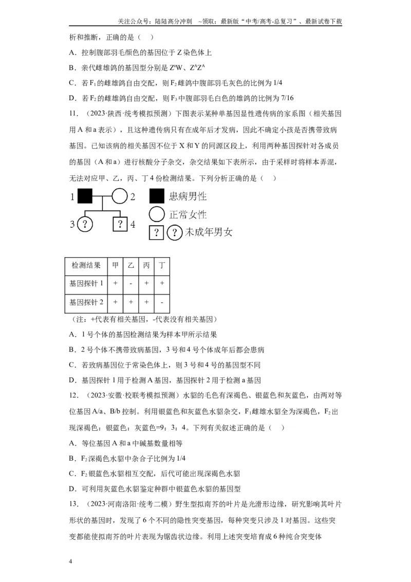 《单元检测卷四遗传的基本定律（原卷版）_06-生物-高考总复习_一轮复习_2024年_2024年高考生物一轮复习精讲精练_资料》第4页预览