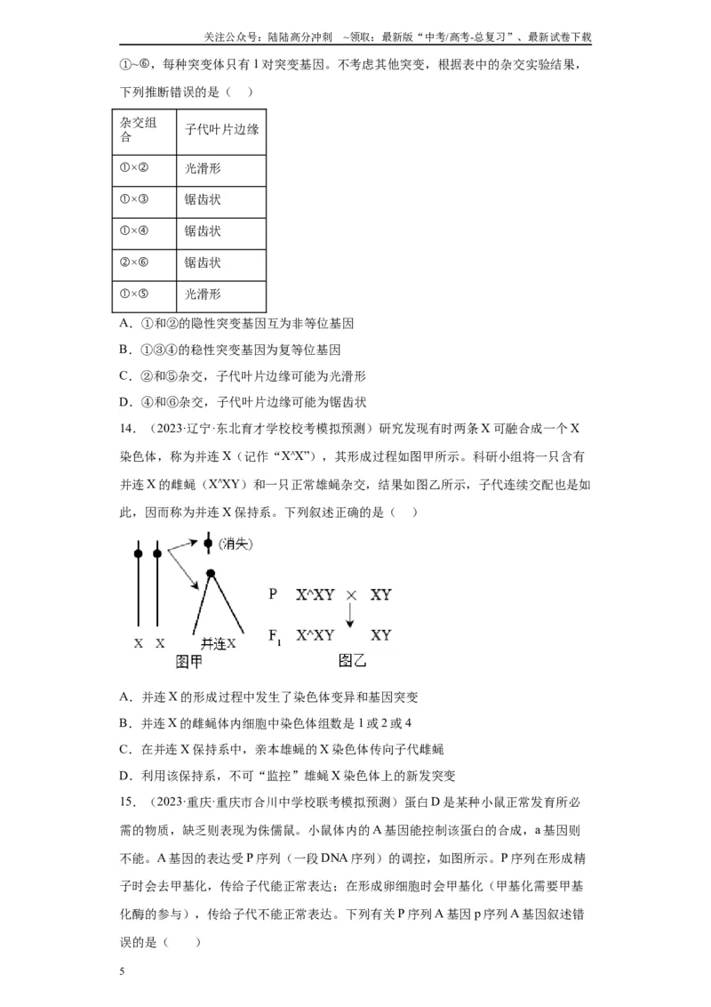 《单元检测卷四遗传的基本定律（原卷版）_06-生物-高考总复习_一轮复习_2024年_2024年高考生物一轮复习精讲精练_资料》第5页预览