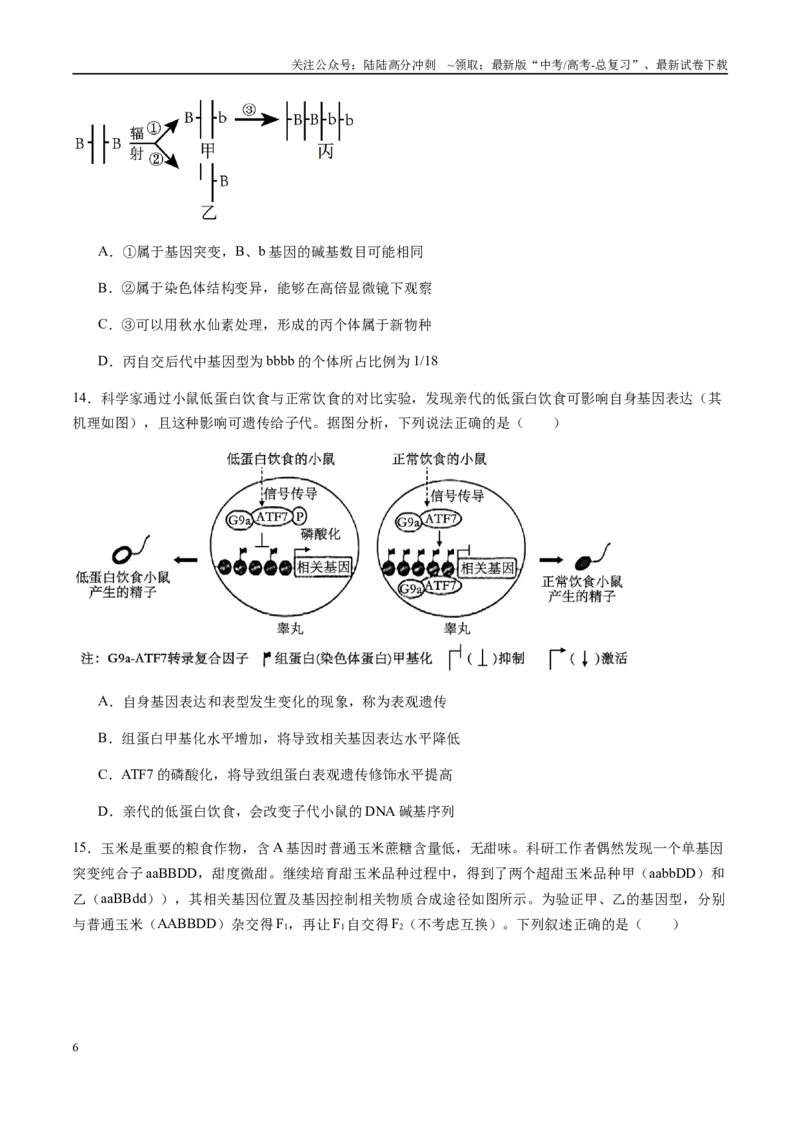 《信息必刷卷03（浙江专用）学生版_06-生物-高考总复习_专项复习_2025年_2025年高考考前必刷题（多地区）生物_2025年高考生物考前必刷卷（浙江专用）1套》第6页预览