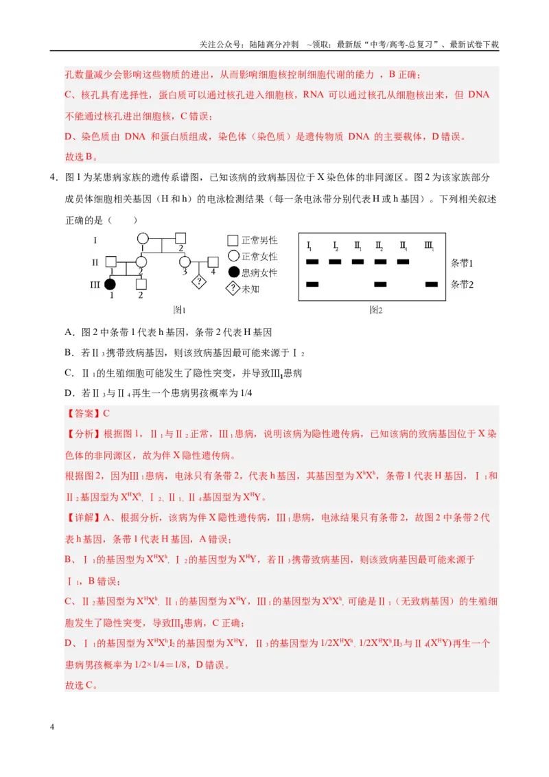 《信息必刷卷03（陕西、山西、宁夏、青海专用）（教师版）_06-生物-高考总复习_专项复习_2025年_2025年高考考前必刷题（多地区）生物》第4页预览