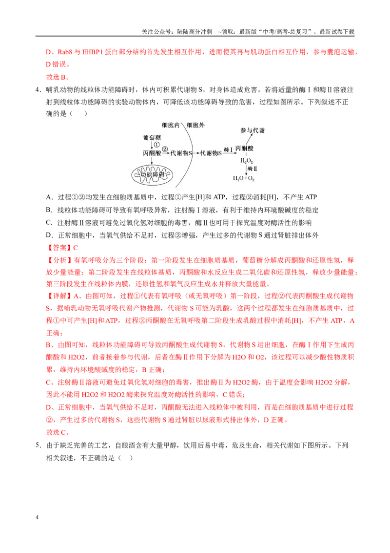 《信息必刷卷01（新高考通用）教师版_06-生物-高考总复习_专项复习_2025年_2025年高考考前必刷题（多地区）生物_2025年高考生物考前必刷卷（新高考通用）5套》第4页预览