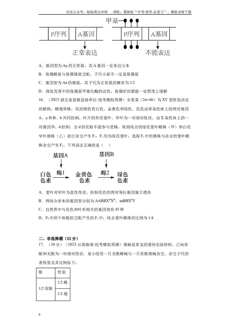 《单元检测卷四遗传的基本定律（解析版）_06-生物-高考总复习_一轮复习_2024年_2024年高考生物一轮复习精讲精练_资料》第6页预览