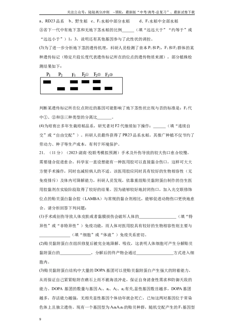 《单元检测卷四遗传的基本定律（解析版）_06-生物-高考总复习_一轮复习_2024年_2024年高考生物一轮复习精讲精练_资料》第9页预览