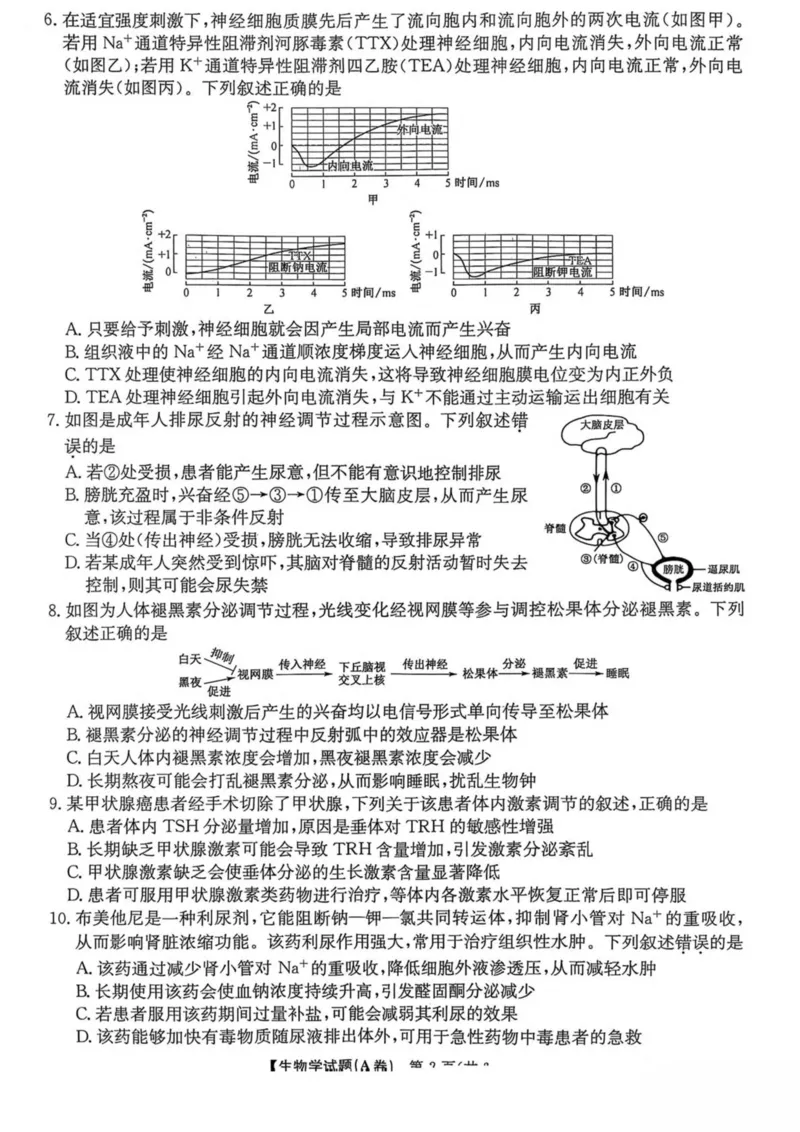 《河南省TOP二十名校2025-2026学年高二上学期十二月调研考试生物（A）试卷（图片版，含答案）_20272025-2026学年高二上学期《联考+联盟类试卷合集》全国多省全科（57套）》第2页预览