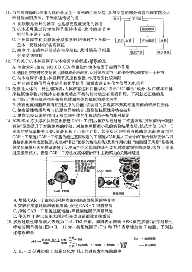 《河南省TOP二十名校2025-2026学年高二上学期十二月调研考试生物（A）试卷（图片版，含答案）_20272025-2026学年高二上学期《联考+联盟类试卷合集》全国多省全科（57套）》第3页预览