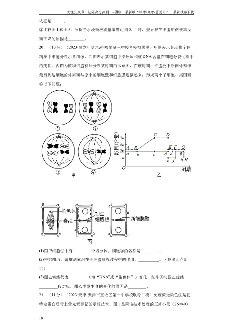 《单元检测卷三细胞的生命历程（解析版）_06-生物-高考总复习_一轮复习_2024年_2024年高考生物一轮复习精讲精练_资料》第10页预览
