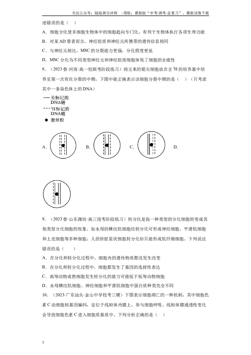 《单元检测卷三细胞的生命历程（解析版）_06-生物-高考总复习_一轮复习_2024年_2024年高考生物一轮复习精讲精练_资料》第3页预览