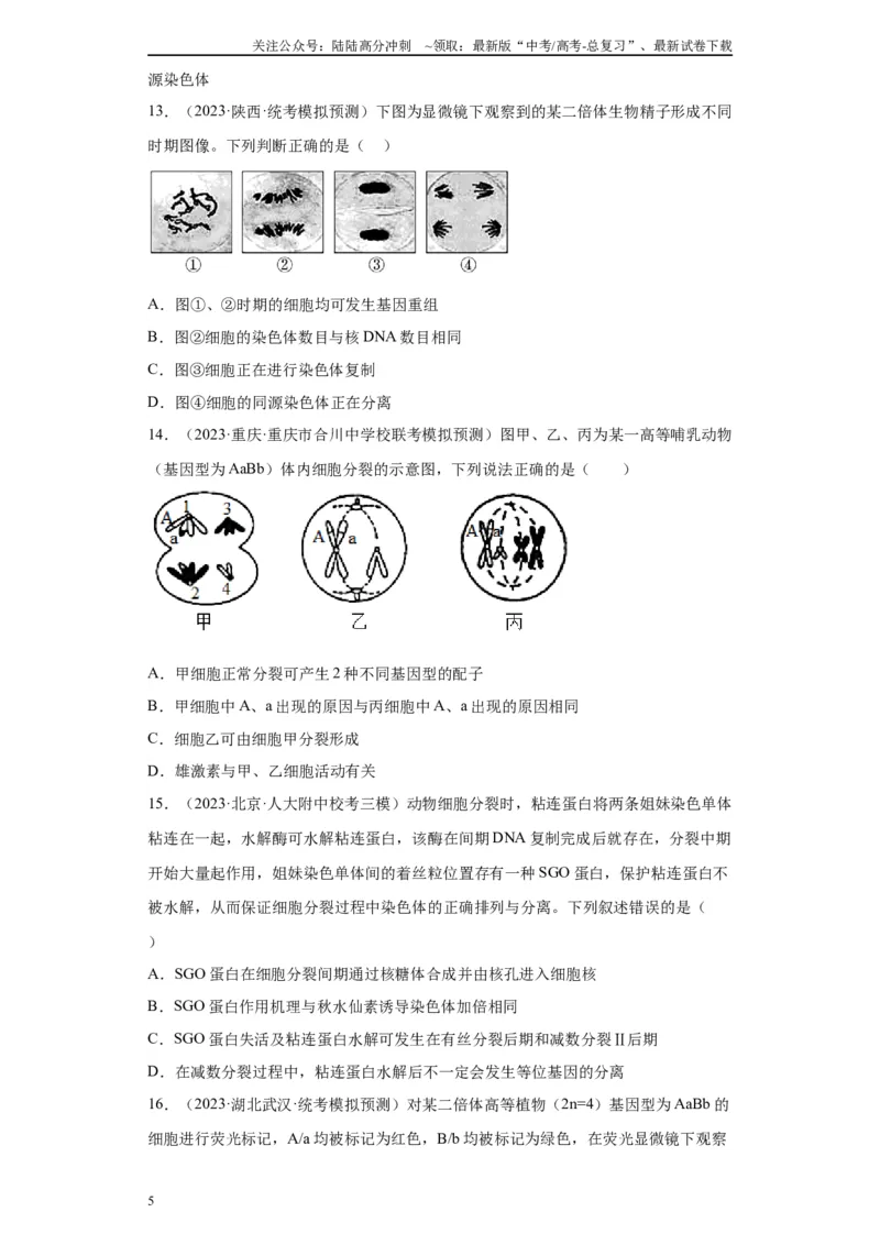 《单元检测卷三细胞的生命历程（解析版）_06-生物-高考总复习_一轮复习_2024年_2024年高考生物一轮复习精讲精练_资料》第5页预览