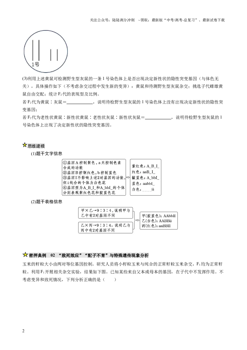 《压轴题02遗传与变异（原卷版）_06-生物-高考总复习_三轮冲刺_压轴题2025年高考生物压轴题攻略》第2页预览