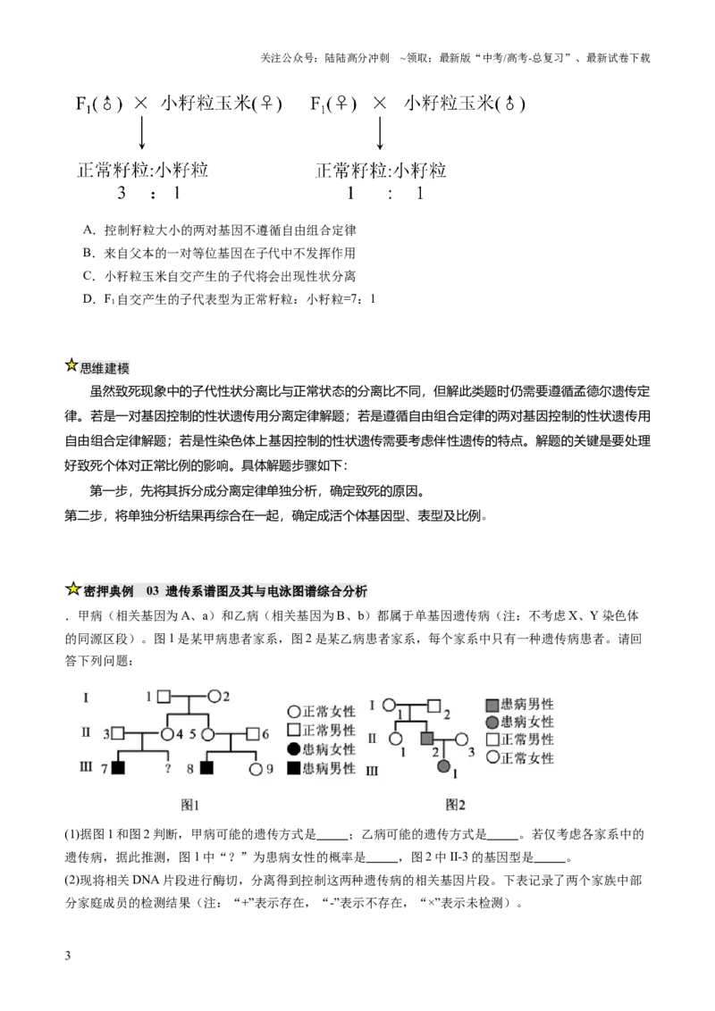 《压轴题02遗传与变异（原卷版）_06-生物-高考总复习_三轮冲刺_压轴题2025年高考生物压轴题攻略》第3页预览