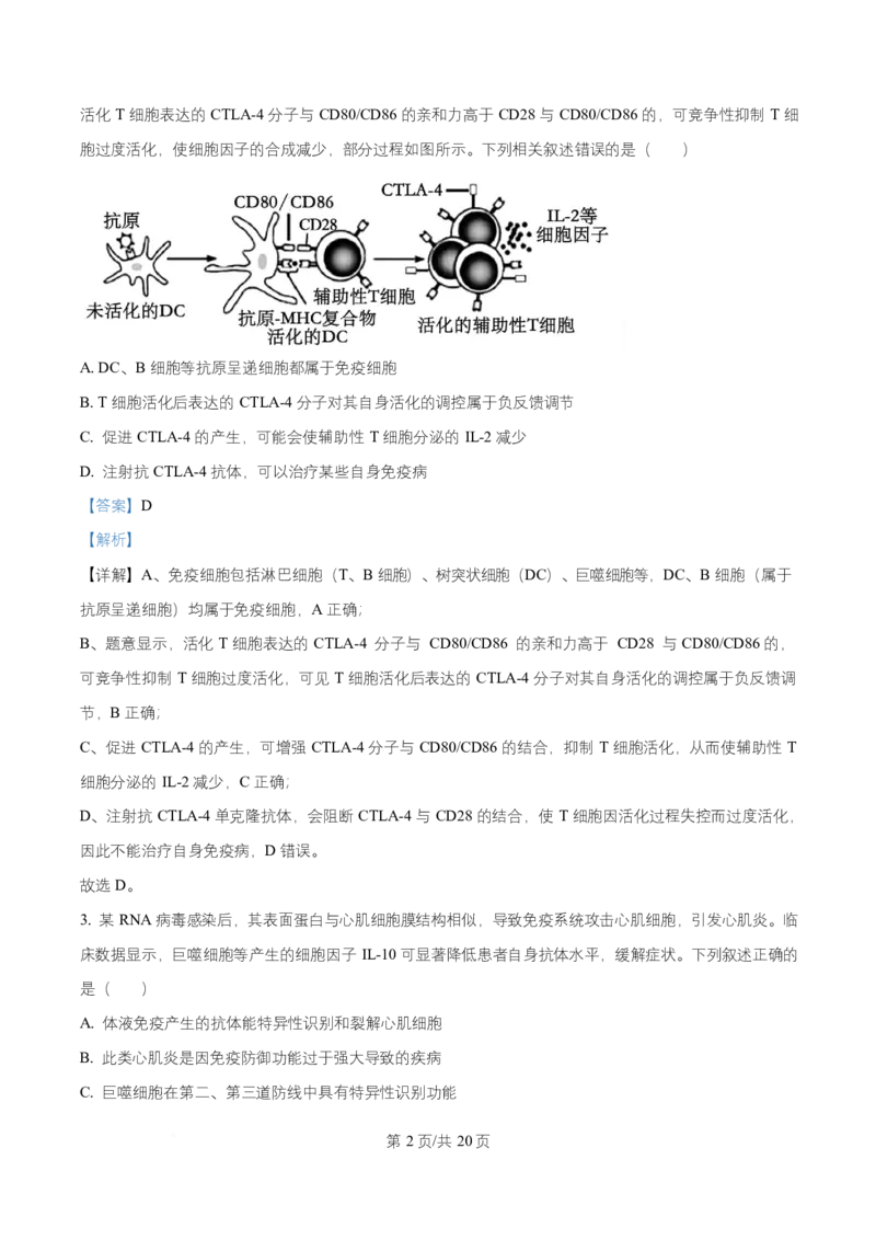 《湖北省江夏一中、汉阳一中、洪山高中2025-2026学年高二上学期12月检测生物试卷Word版含解析_20272025-2026学年高二上学期《联考+联盟类试卷合集》全国多省全科（57套）》第2页预览