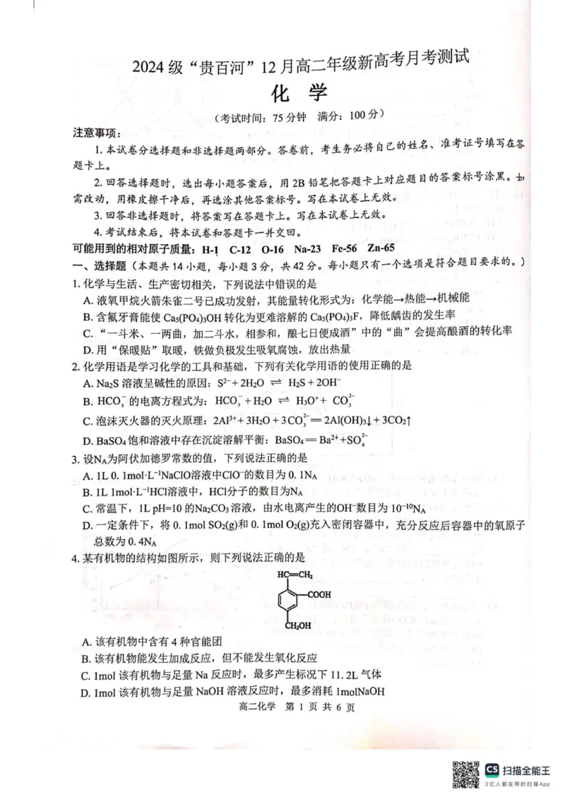 《广西2024级“贵百河”12月高二年级新高考月考测试化学_20272025-2026学年高二上学期《月考+阶段检测类试卷合集》全国多省全科（100套）》第1页预览