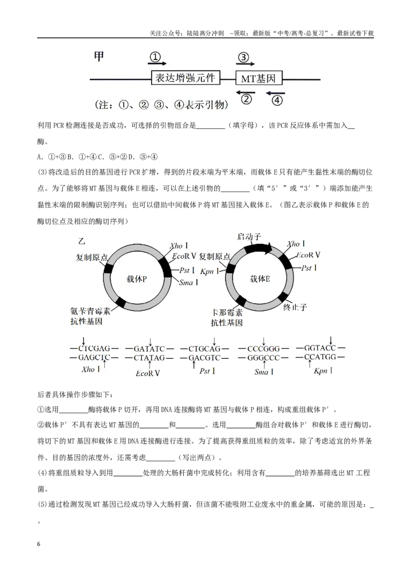 《微专题07基因工程及应用（解析版）_06-生物-高考总复习_二轮复习_2024年_2024高三生物高考二轮复习热点命题专题真题模拟题_资料》第6页预览