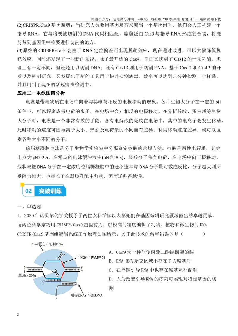 《尖子生突破13CRISPRCas9技术和电泳图谱分析（原卷版）_06-生物-高考总复习_专项复习_2024年_2024年高考生物重难点突破精讲_资料》第2页预览