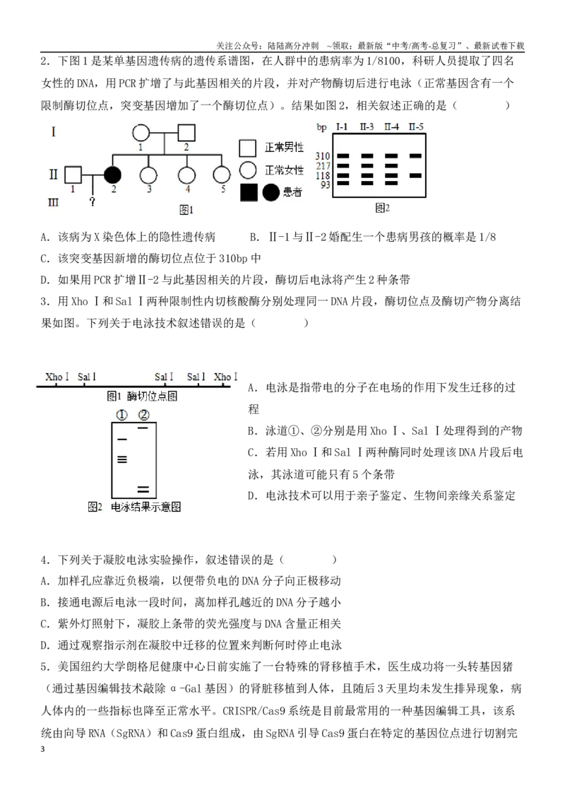 《尖子生突破13CRISPRCas9技术和电泳图谱分析（原卷版）_06-生物-高考总复习_专项复习_2024年_2024年高考生物重难点突破精讲_资料》第3页预览