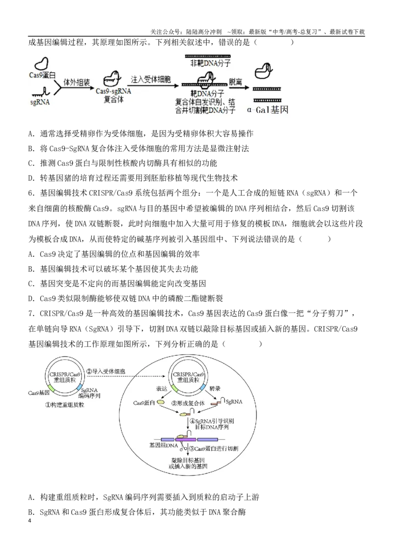 《尖子生突破13CRISPRCas9技术和电泳图谱分析（原卷版）_06-生物-高考总复习_专项复习_2024年_2024年高考生物重难点突破精讲_资料》第4页预览