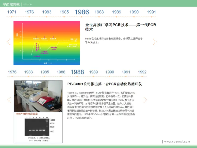 《课件32019寒高二PCR-8ded01a07f23_学而思高二全套_2020年寒假高二(1)_2020寒假目标清北班高二生物直播班（全国）7讲周云完结_资料》第8页预览
