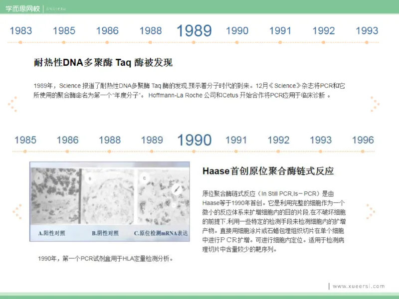 《课件32019寒高二PCR-8ded01a07f23_学而思高二全套_2020年寒假高二(1)_2020寒假目标清北班高二生物直播班（全国）7讲周云完结_资料》第9页预览