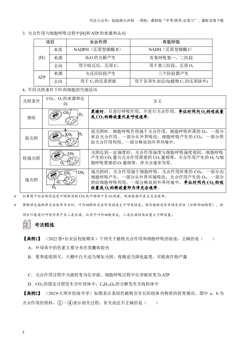 《微专题1光合作用与呼吸作用（讲义）（原卷版）_06-生物-高考总复习_一轮复习_2024年_2023-2024学年高三生物一轮复习_资料》第2页预览