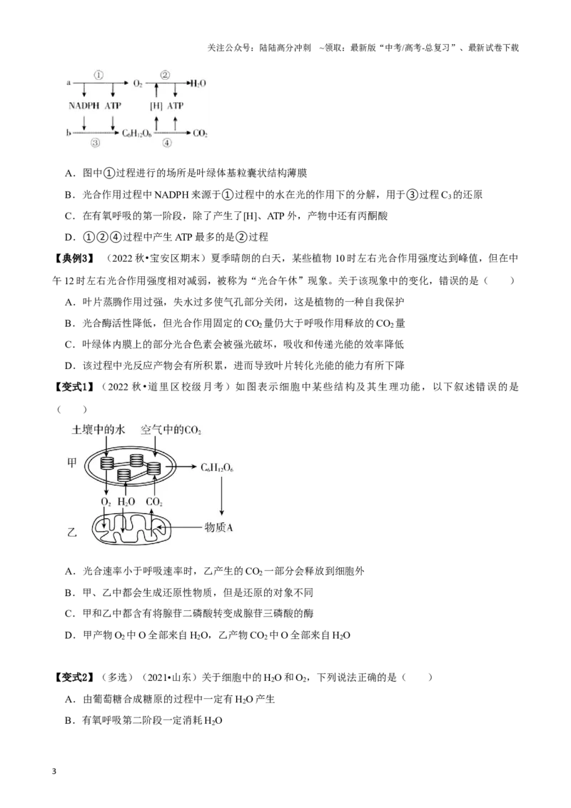 《微专题1光合作用与呼吸作用（讲义）（原卷版）_06-生物-高考总复习_一轮复习_2024年_2023-2024学年高三生物一轮复习_资料》第3页预览