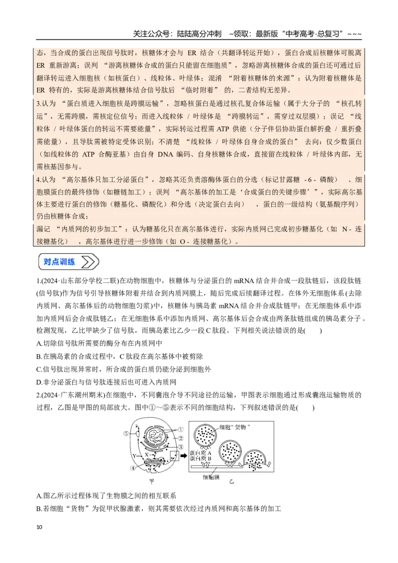 《培优专题01囊泡运输与蛋白质的分选途经（高效培优讲义）（学生版）_06-生物-高考总复习_一轮复习_2026年-生物高考一轮复习_2026年高考生物一轮复习讲义+练习+课件（新教材新高考）-G55》第10页预览