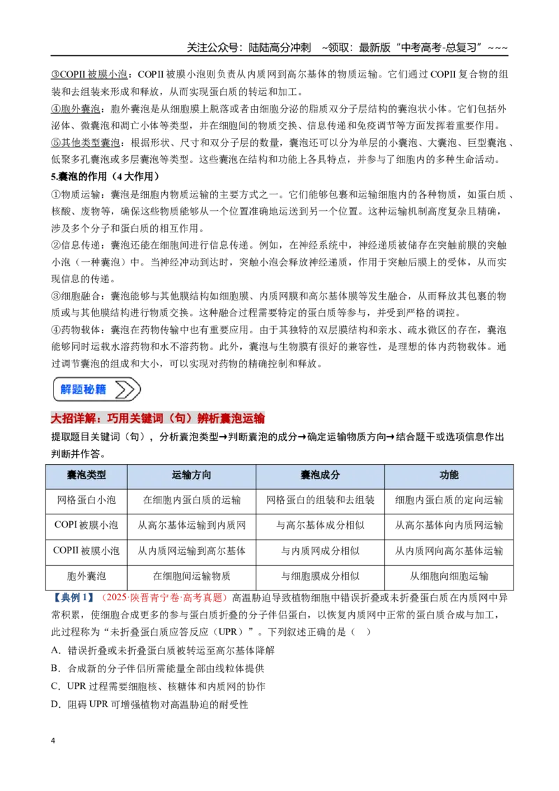《培优专题01囊泡运输与蛋白质的分选途经（高效培优讲义）（学生版）_06-生物-高考总复习_一轮复习_2026年-生物高考一轮复习_2026年高考生物一轮复习讲义+练习+课件（新教材新高考）-G55》第4页预览