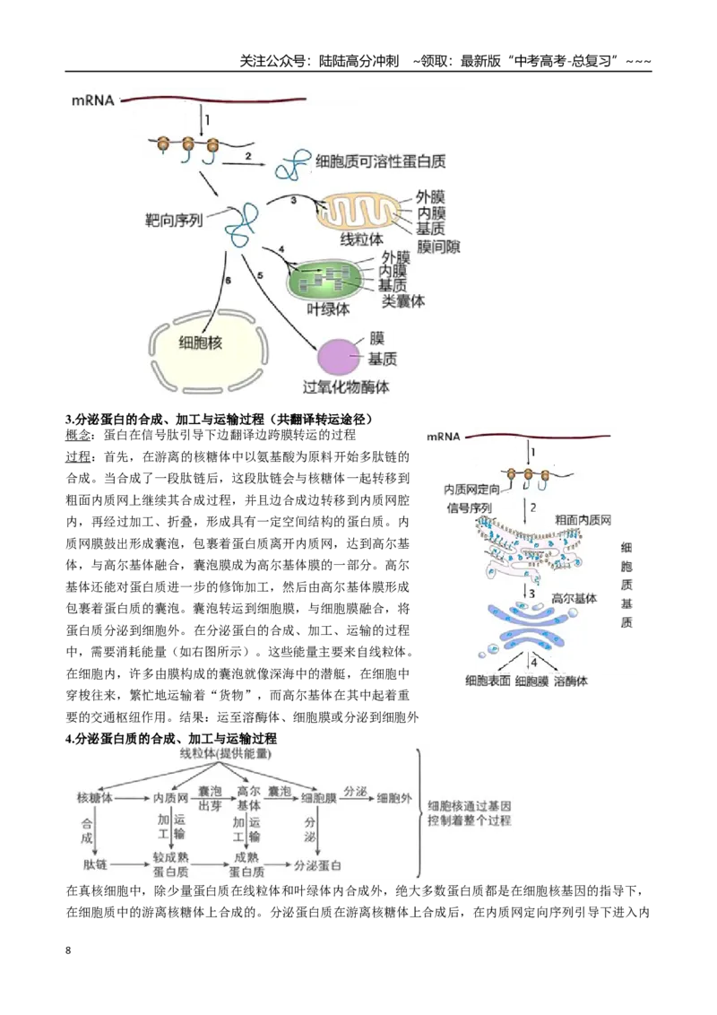 《培优专题01囊泡运输与蛋白质的分选途经（高效培优讲义）（学生版）_06-生物-高考总复习_一轮复习_2026年-生物高考一轮复习_2026年高考生物一轮复习讲义+练习+课件（新教材新高考）-G55》第8页预览