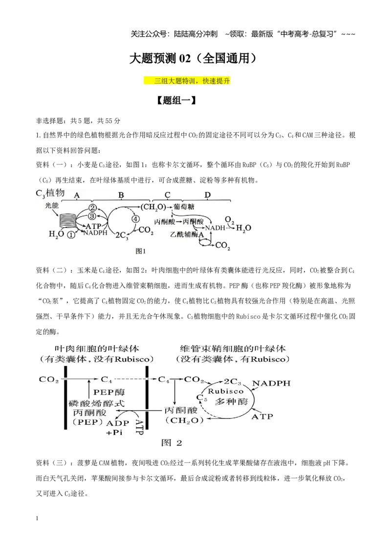 《大题仿真预测卷02（学生版）_06-生物-高考总复习_专项复习_2026年-生物高考专项复习_2026年高考生物终极冲刺讲练测（全国通用）-G459_2026版》第1页预览