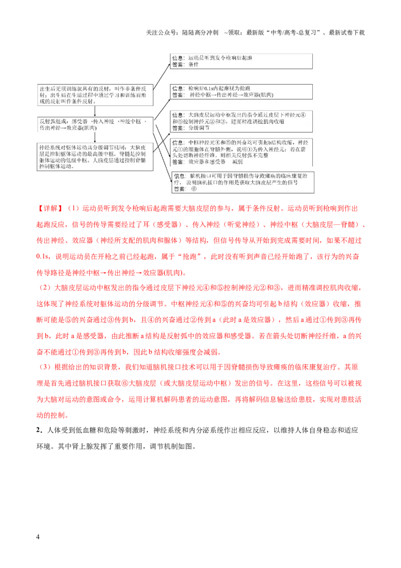 《大题03生命活动的调节（解析版）_06-生物-高考总复习_三轮冲刺_大题精做冲刺2025年高考生物大题突破+限时集训（新高考通用）》第4页预览