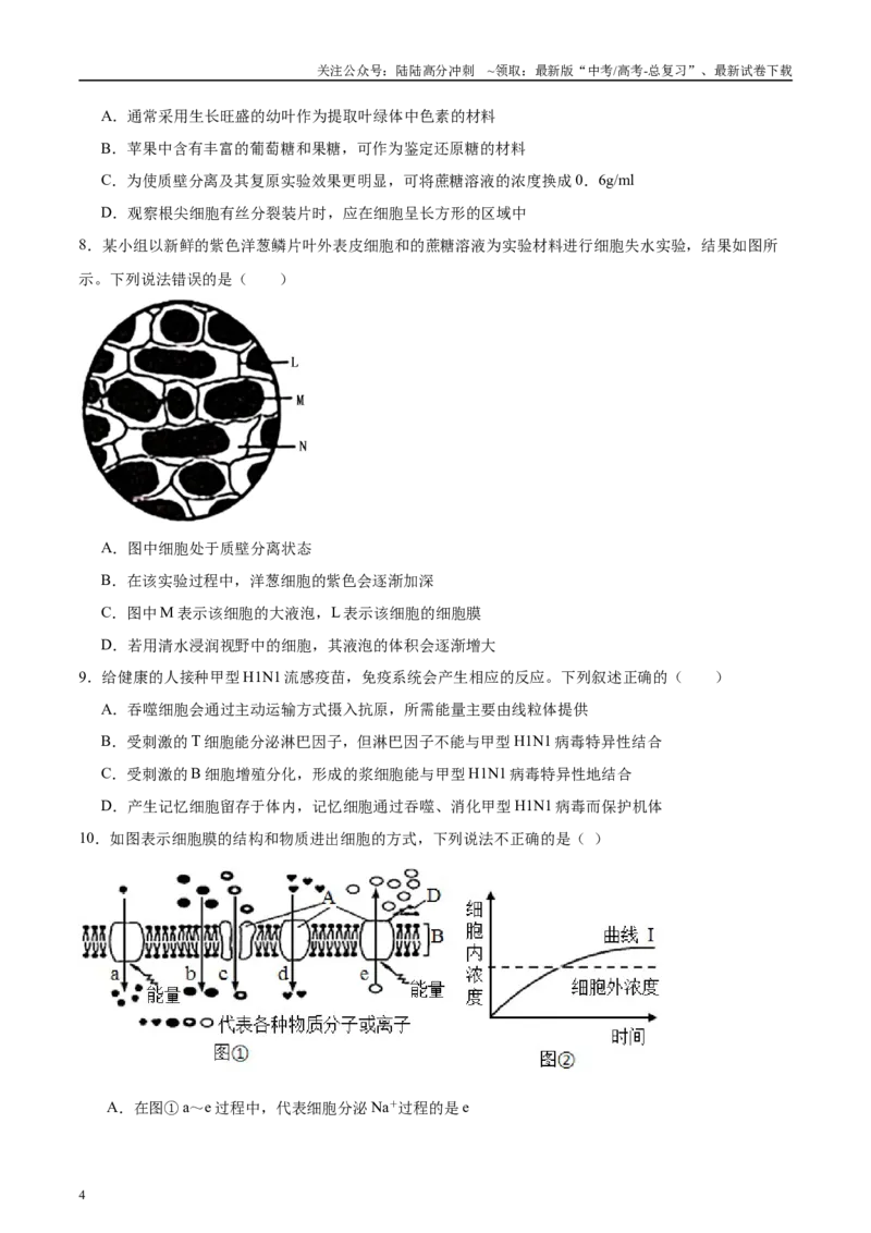 《微专题1物质的运输方式原卷版_06-生物-高考总复习_专项复习_2025年_2025年高考生物考前冲刺微专题限时练（全国通用）_资料》第4页预览