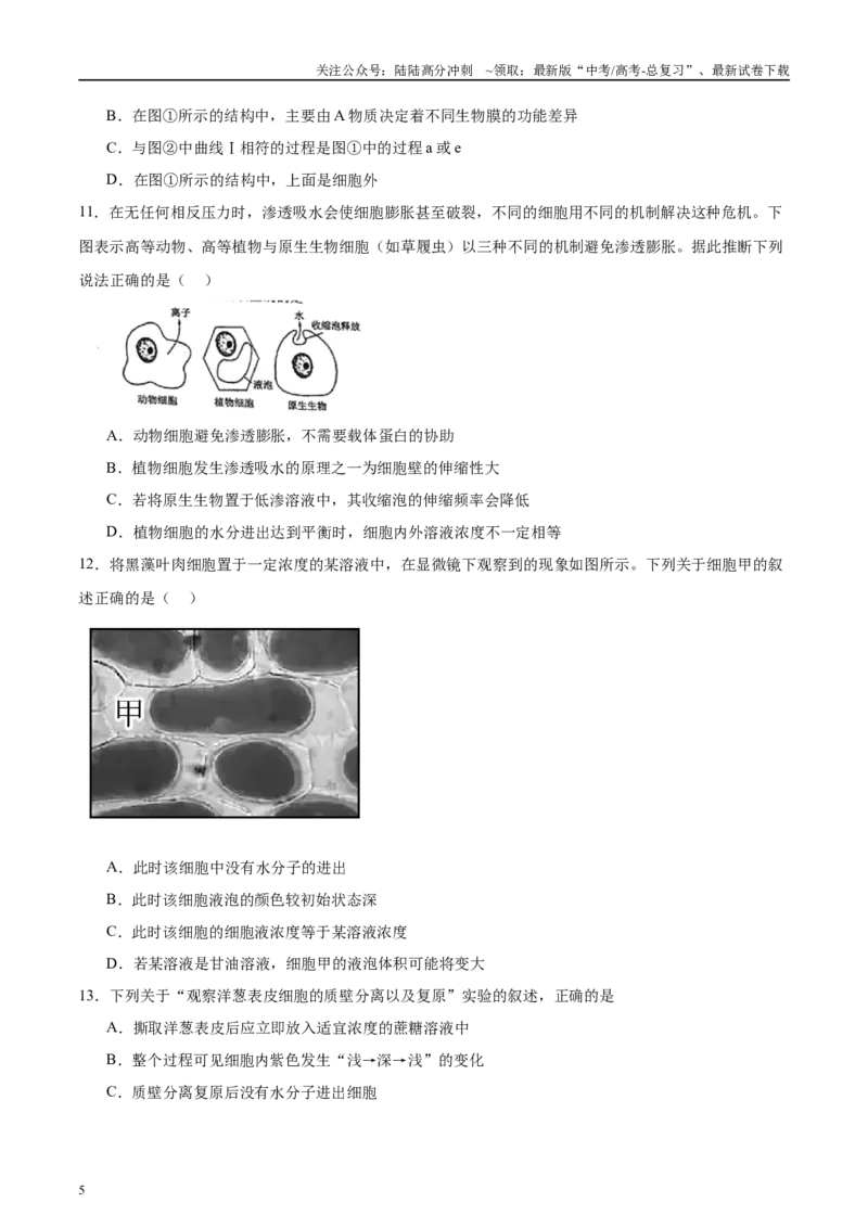 《微专题1物质的运输方式原卷版_06-生物-高考总复习_专项复习_2025年_2025年高考生物考前冲刺微专题限时练（全国通用）_资料》第5页预览