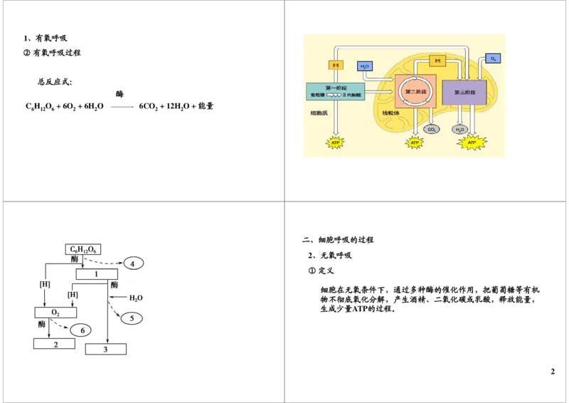 《细胞代谢-呼吸作用-2bdad3f26ffd_学而思高三全套_高三录播课程各种版本_高三一轮二轮_29709-56高考生物一轮总复习（必修+选修1、3）_第09讲：细胞代谢-呼吸作用（一轮上）》第2页预览