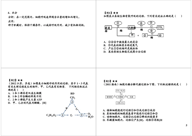 《细胞代谢-呼吸作用-2bdad3f26ffd_学而思高三全套_高三录播课程各种版本_高三一轮二轮_29709-56高考生物一轮总复习（必修+选修1、3）_第09讲：细胞代谢-呼吸作用（一轮上）》第5页预览