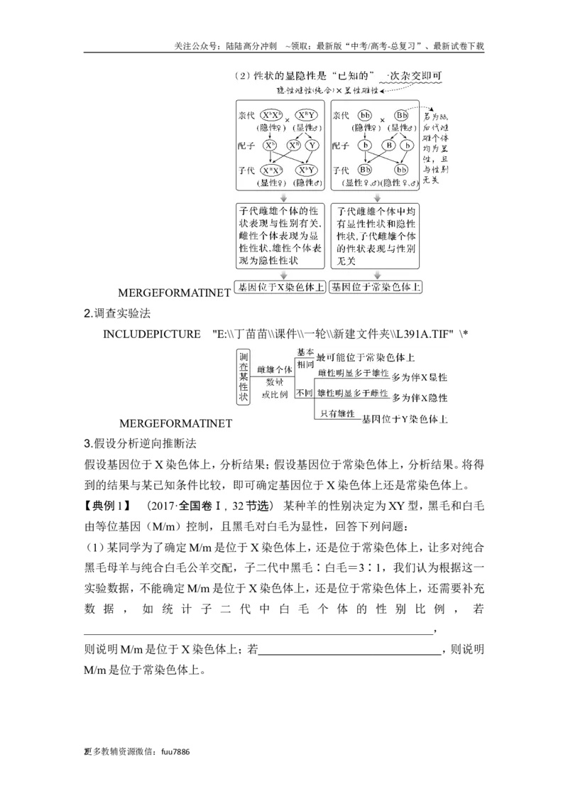 《微专题9基因定位的遗传实验设计_06-生物-高考总复习_一轮复习_2024年_2024高考生物大一轮复习课件讲义新人教版知识总结_2024年高考生物一轮复习讲义（新人教版）_另赠1套Word版题库_必修2》第2页预览