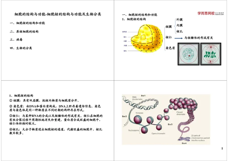 《细胞的结构与功能-细胞核的结构与功能及生物分类（一）-6490a530d99d_学而思高三全套_高三录播课程各种版本_高三一轮二轮_29709-56高考生物一轮总复习（必修+选修1、3）》第1页预览