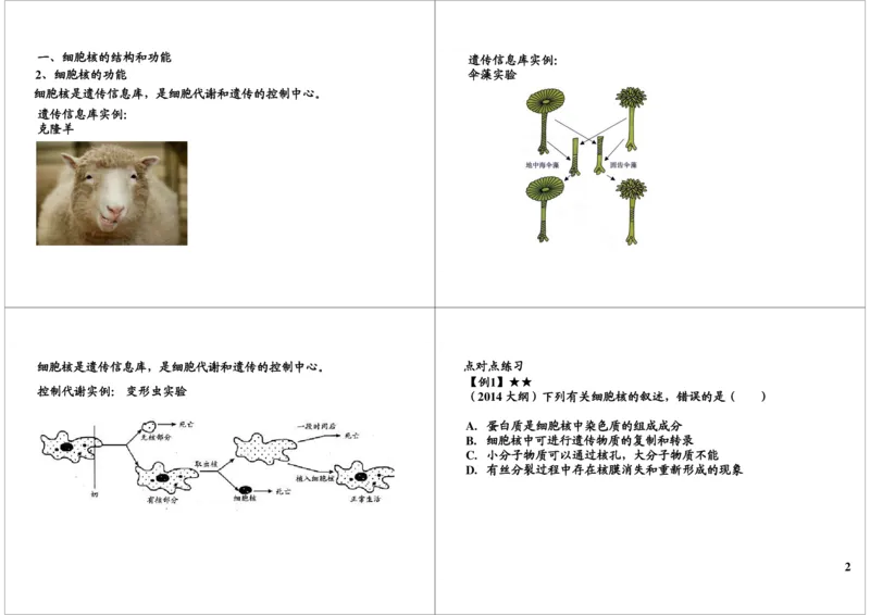 《细胞的结构与功能-细胞核的结构与功能及生物分类（一）-6490a530d99d_学而思高三全套_高三录播课程各种版本_高三一轮二轮_29709-56高考生物一轮总复习（必修+选修1、3）》第2页预览