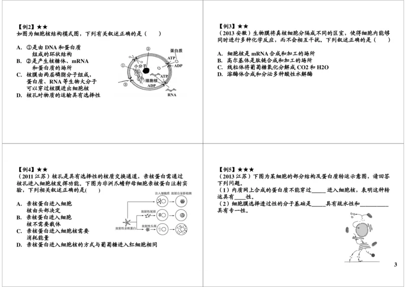 《细胞的结构与功能-细胞核的结构与功能及生物分类（一）-6490a530d99d_学而思高三全套_高三录播课程各种版本_高三一轮二轮_29709-56高考生物一轮总复习（必修+选修1、3）》第3页预览